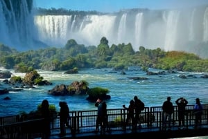 Частная однодневная экскурсия: осмотр водопадов Игуасу с обеих сторон