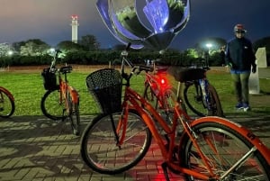 Private Bike Tour: Buenos Aires at Night + Rooftop
