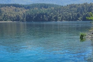 Yksityinen venematka Lago Lacar -järvellä San Martin de los Andesissa