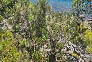 Yksityinen venematka Lago Lacar -järvellä San Martin de los Andesissa