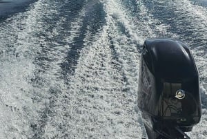 Yksityinen venematka Lago Lacar -järvellä San Martin de los Andesissa