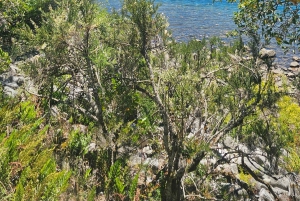 Paseo en lancha Privado por el Lago Lacar en San Martin de los Andes