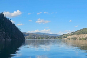 Paseo en lancha Privado por el Lago Lacar en San Martin de los Andes