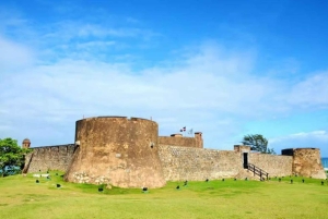 Excursão privada e visita guiada aos destaques da cidade