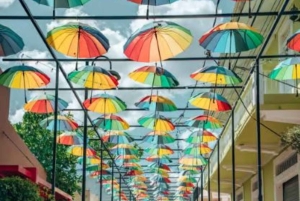 Excursão privada e visita guiada aos destaques da cidade