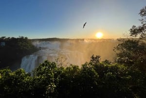 Tour privato di un giorno Brasile e Argentina ai lati delle cascate di Iguassu