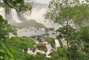 Tour privato di un giorno Brasile e Argentina ai lati delle cascate di Iguassu