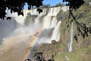 Tour privado de un día por los lados brasileño y argentino de las Cataratas del Iguazú