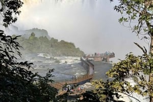 Visite privée d'une journée au Brésil et en Argentine à côté des chutes d'Iguassu