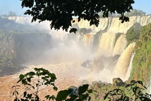 Tour privado de un día por los lados brasileño y argentino de las Cataratas del Iguazú