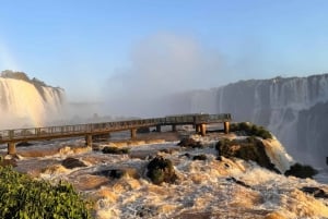 Tour privado de un día por los lados brasileño y argentino de las Cataratas del Iguazú