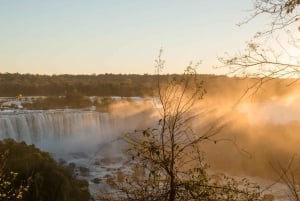 Tour privado de un día por los lados brasileño y argentino de las Cataratas del Iguazú