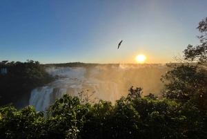 Privat tur Brasilien & Argentina sidor av Iguassu Falls