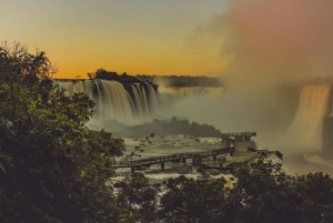 Privat tur Brasilien & Argentina sidor av Iguassu Falls