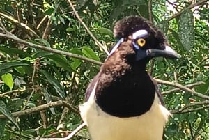 Private-day tour on the iguassu waterfalls Argentinean SIDE