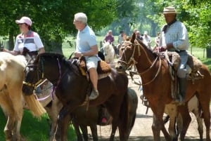 Private Gaucho Day Tour to an Argentinian Estancia