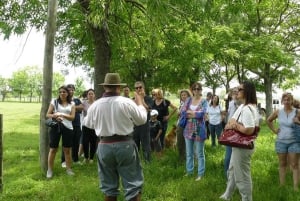 Private Gaucho Day Tour to an Argentinian Estancia