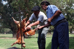 Privat dagsomvisning til en argentinsk estancia