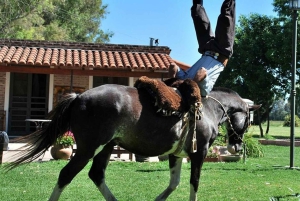 Privat dagsomvisning til en argentinsk estancia