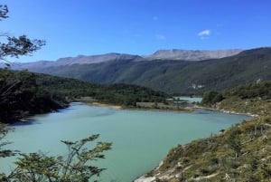 Private Experience 'Tierra del Fuego' National Park