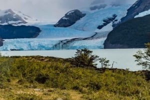 Privat heldag i El Calafate med flybillet fra Buenos Aires