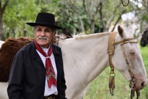 Private Gaucho Day Tour to an Argentinian Estancia