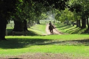 Private Gaucho Day Tour to an Argentinian Estancia