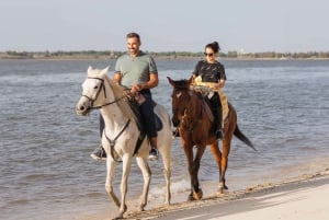 Paseos privados a caballo por la playa
