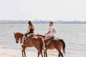 Paseos privados a caballo por la playa