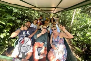 Visite privée des chutes d'Iguazu : Brésil et Argentine en 1 jour