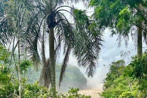 Private Iguazu Falls Tour: Brazil & Argentina in 1 Day