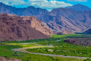 Private Salta to Mendoza, driving through Route N°40