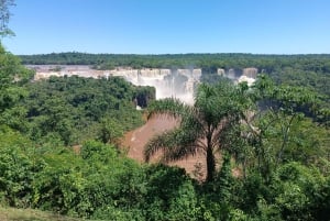 Частный тур: Бразильская и Аргентинская стороны за 1 день + Возможность прогулки на лодке