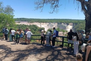 Privat tur – Iguaçu-fossen på brasiliansk og argentinsk side på 2 dager