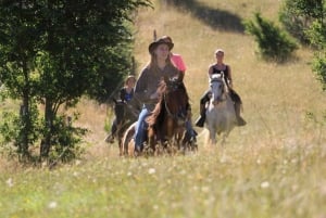 Pucon : Randonnée à cheval avec arrêt aux chutes d'eau