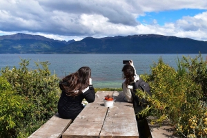 Puerto Almanza: Taskurapureitti ja Beagle-kanavan makuja