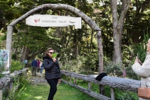 Puerto Almanza: Taskurapureitti ja Beagle-kanavan makuja