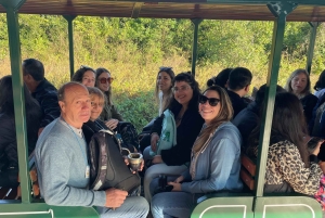 Puerto Iguazú: paquete de cataratas en ambos lados con traslados