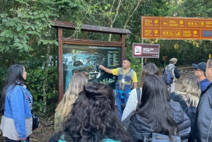 Puerto Iguazú: paquete de cataratas en ambos lados con traslados