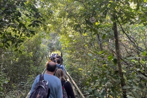 Puerto Iguazú: paquete de cataratas en ambos lados con traslados