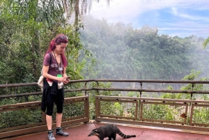 Puerto Iguazú: paquete de cataratas en ambos lados con traslados