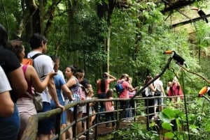 Puerto Iguazu : Visite du côté brésilien des chutes d'Iguaza et du parc ornithologique