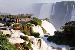 Puerto Iguazú: cataratas del lado brasileño y parque de aves