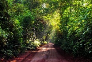 Puerto Iguazu: Iguazu Falls Brazilian Side Tour