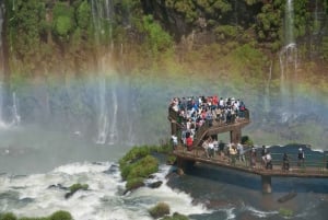 Puerto Iguazu: Iguazun putoukset Brasilian puolella Tour