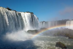 Puerto Iguazu: Iguazun putoukset Brasilian puolella Tour