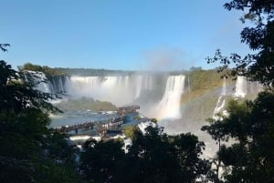 Puerto Iguazu: Iguazun putoukset Brasilian puolella Tour