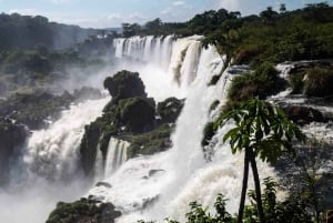 Puerto Iguazú: Cataratas del Iguazú, actividades en la selva y paseo en barco