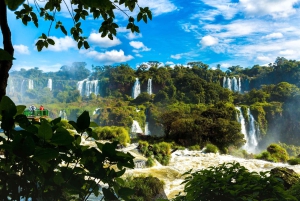 Puerto Iguazú : visite des chutes d'Iguazu avec bateau et safari
