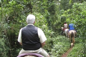 Puerto Iguazu: Guaraní-yhteisön kanssa ratsastaminen viidakossa